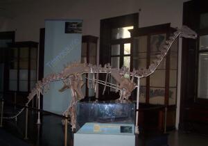Cinco Saltos Argentina Museum