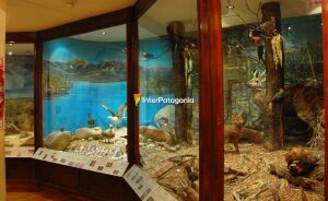 San Carlos de Bariloche Argentina Museum