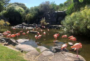 Parque Temaiken