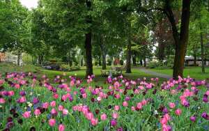 Schiller Park