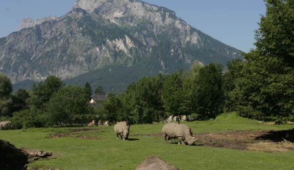 Salzburg Zoo
