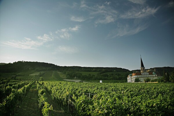 Stiftsweingut Klosterneuburg