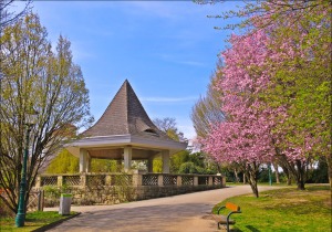Kongresspark