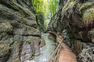 Bregenz Austria Nature reserve