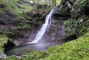 Amstetten Austria Natural Attraction