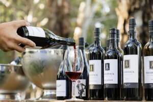 Woodstock Wine Estate