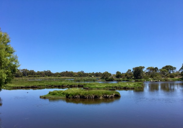 Big Swamp Wildlife Park
