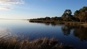 Leschenault Inlet