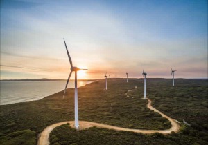 Albany Wind Farm
