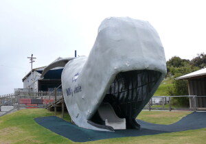 Whale World