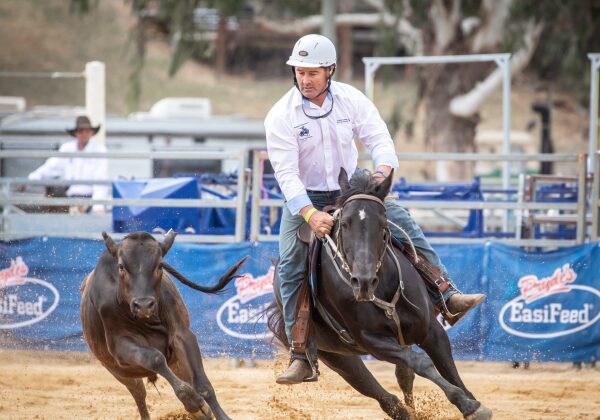 Warwick Rodeo and Campdraft