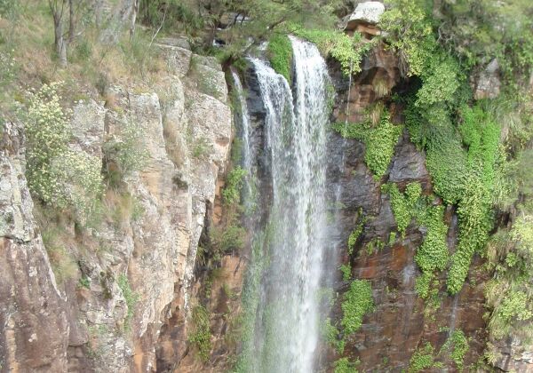 Queen Mary Falls