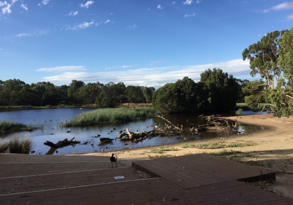 Traralgon Railway Reservoir Conservation Reserve