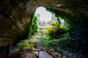 Engelbrecht Cave
