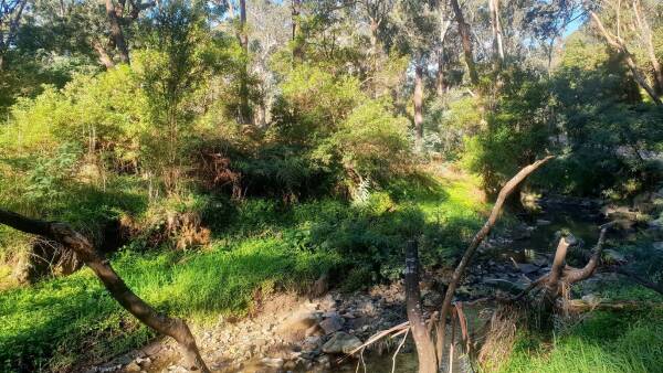 Yarran Dheran Nature Reserve
