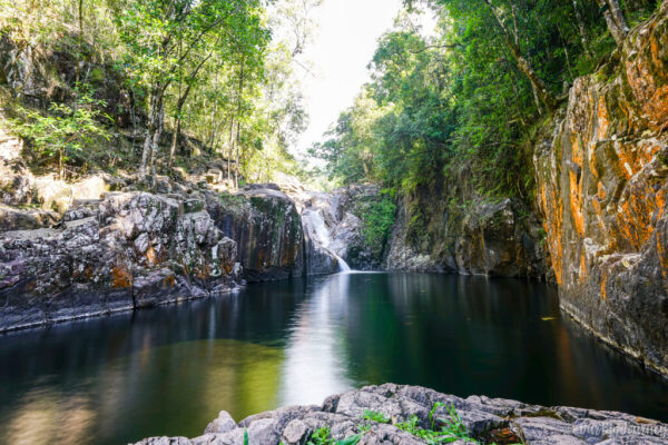 Eungella National Park