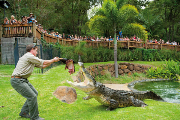 Currumbin Wildlife Sanctuary
