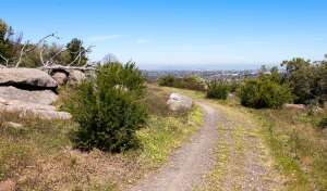 Woodlands Historic Park