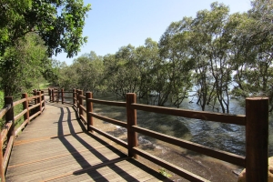 Bancroft Park