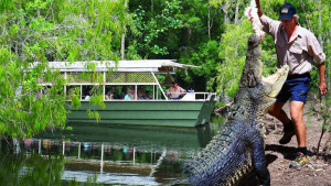 Hartley's Crocodile Adventures