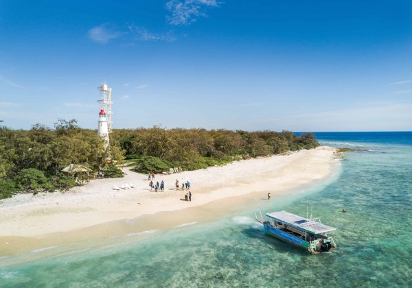 Lady Elliot Island