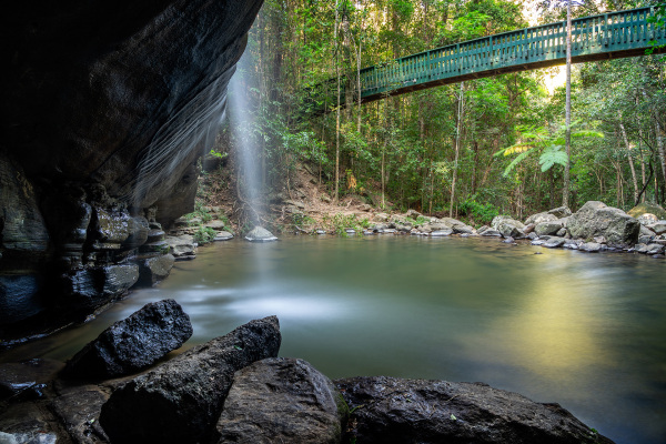 Buderim Forest Park