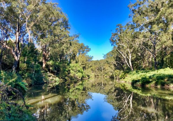 Lane Cove National Park
