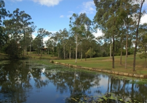 Springfield Lakes Australia Lake