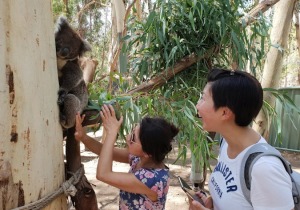 Adelaide Hills Australia Wildlife Sanctuary
