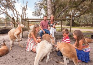 Caversham Wildlife Park