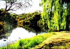 Western Australia Australia Park