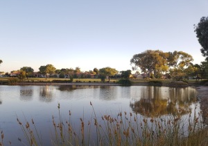 Thornlie Australia Lakes