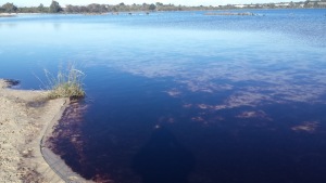 Landsdale Australia Lake