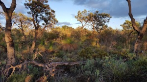 Western Australia Australia Park