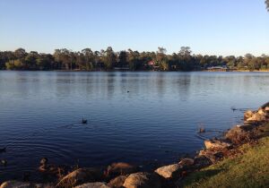 Forest Lake Australia Lake