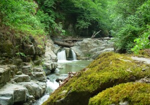 Azerbaijan Waterfall