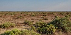 Shirvan National Park