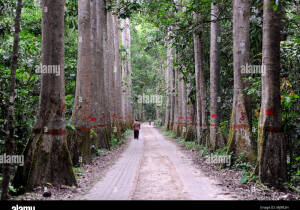 Maulavi Bazar Bangladesh Wildlife Sanctuary