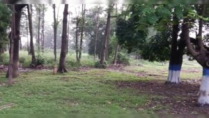 Morrelgonj Bangladesh Park