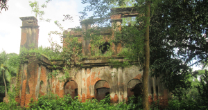 Bhatpara Abhaynagar Palace