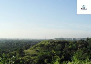 Batali Hill Viewpoint