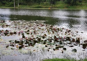 Chattogram Bangladesh Amusement Park