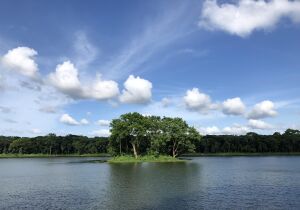 Burhanuddin Bangladesh Lake