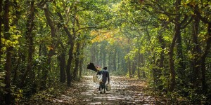 Tangail Bangladesh Park