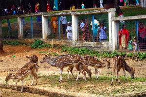 Madaripur Bangladesh Zoo