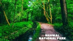 Bhawal National Park