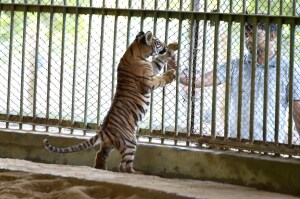 Azimpur Bangladesh Zoo