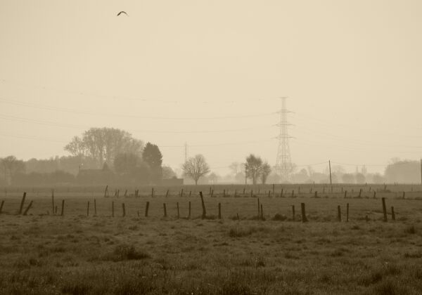 Zemst-Bos
