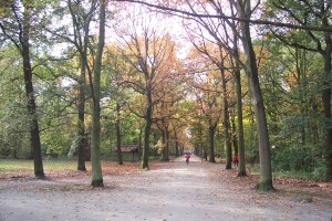 Nachtegalen Park