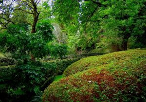 Tenbosch Park